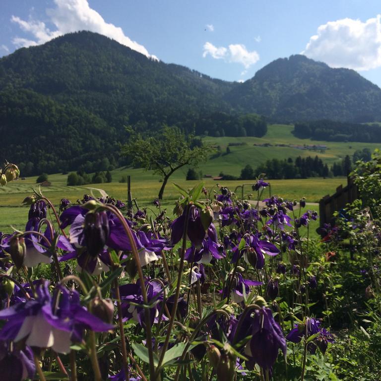 Schifterhof Ruhpolding Villa Eksteriør billede